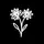 Logo of deeply.
