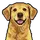 Logo of TabDog