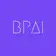 Logo of brandpix.ai