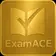 Logo of ExamACE