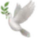 Logo of Scopebird