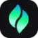 Logo of verdent