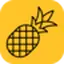 Logo of Pineapple Builder